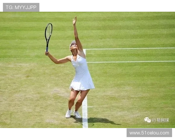 从零起步掌握网球技巧与训练方法的全面指南