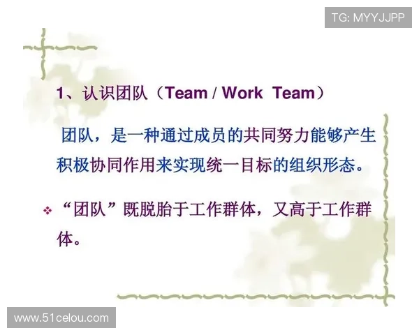 南京排球队战术创新与团队协作的深度解析与展望